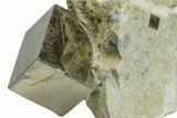 Natural Pyrite Cube In Rock - Navajun, Spain #168467-1